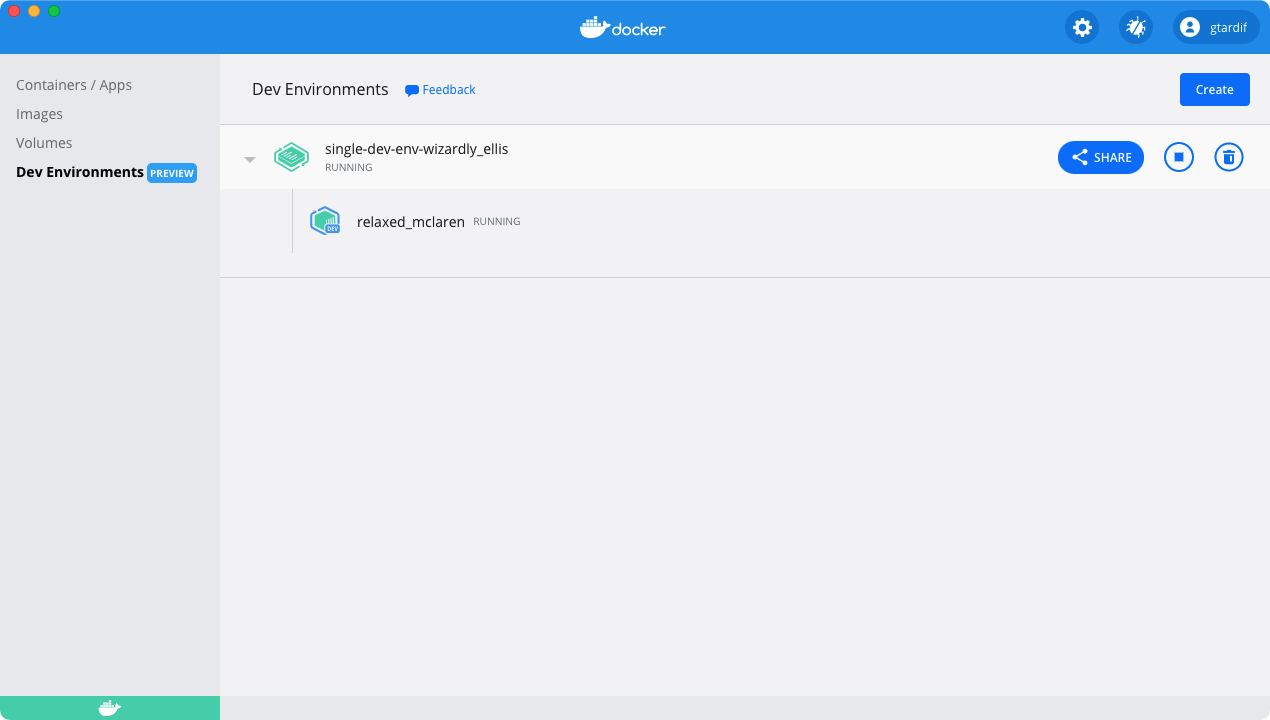 Single container Dev environment