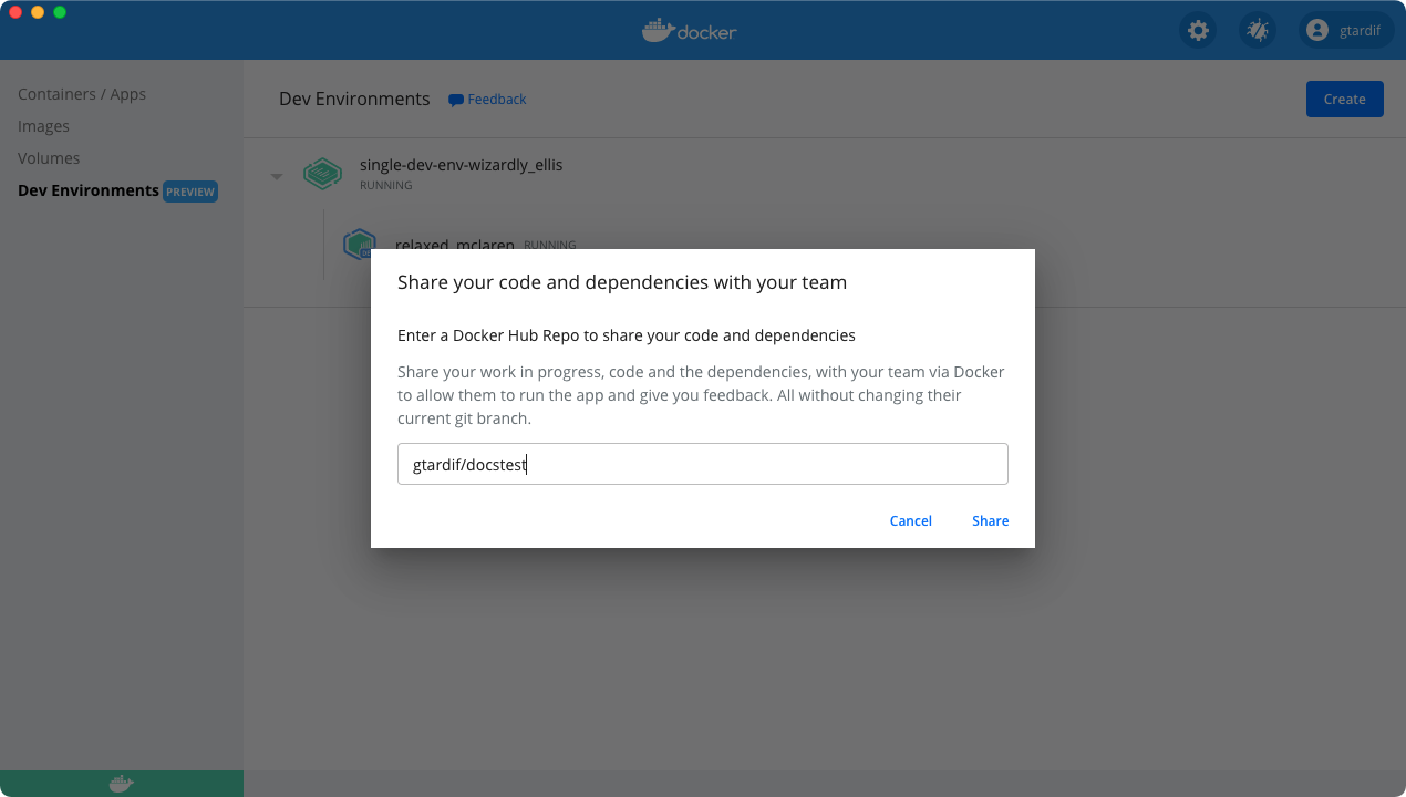 Share a Dev environment